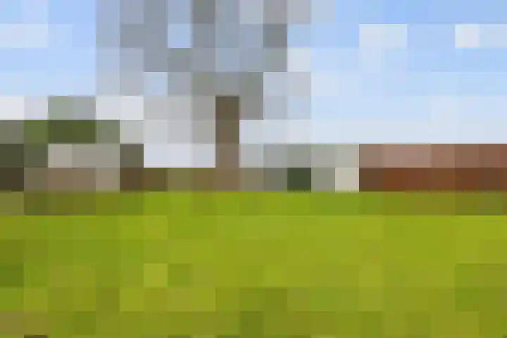 Ameidsedam 3 Spijk thumbnail 41
