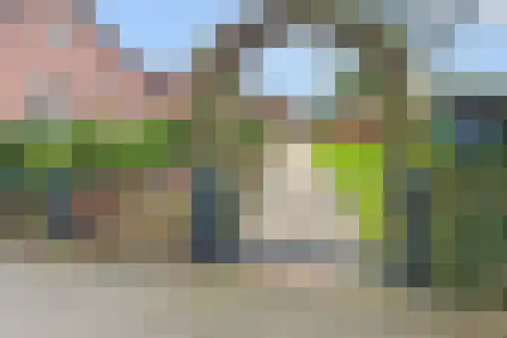 Ameidsedam 3 Spijk thumbnail 42