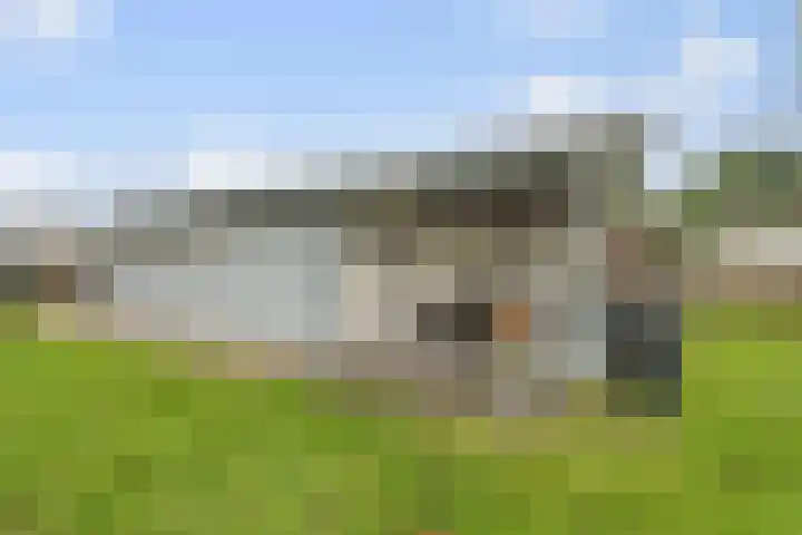 Ameidsedam 3 Spijk thumbnail 49