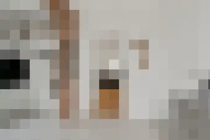 Ameidsedam 3 Spijk thumbnail 5