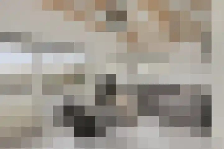 Ameidsedam 3 Spijk thumbnail 52