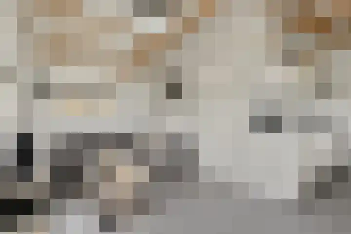 Ameidsedam 3 Spijk thumbnail 53