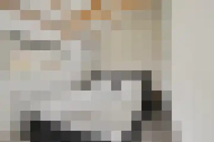 Ameidsedam 3 Spijk thumbnail 54