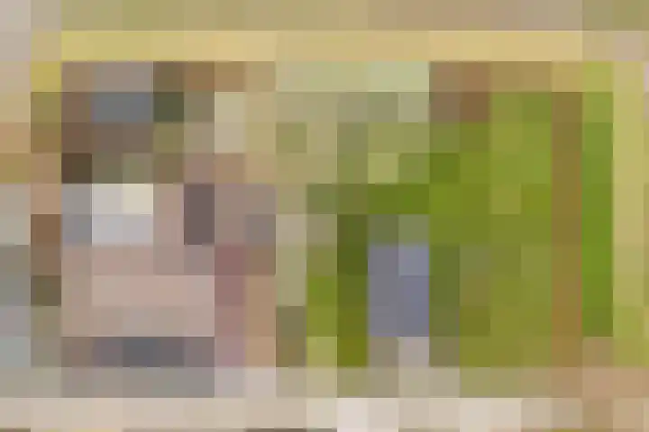 Ameidsedam 3 Spijk thumbnail 56