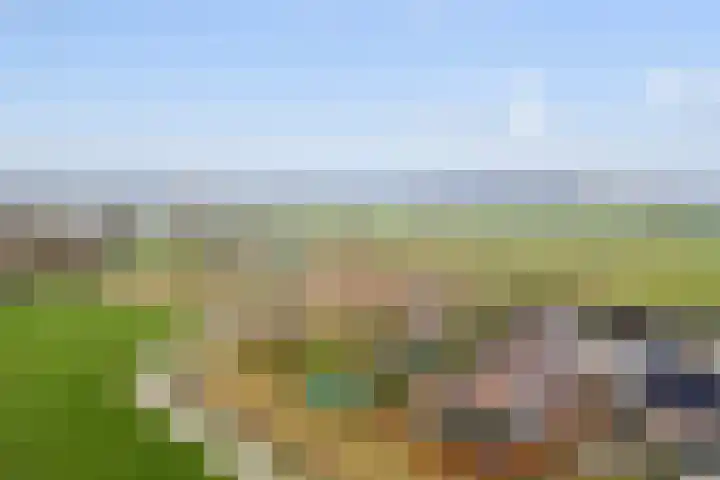 Ameidsedam 3 Spijk thumbnail 57