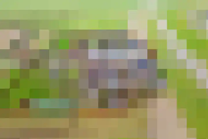 Ameidsedam 3 Spijk thumbnail 59