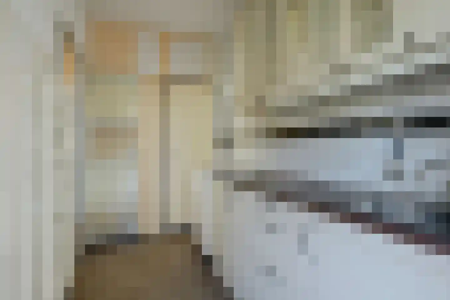 Ameland 20 Zaandam thumbnail 4