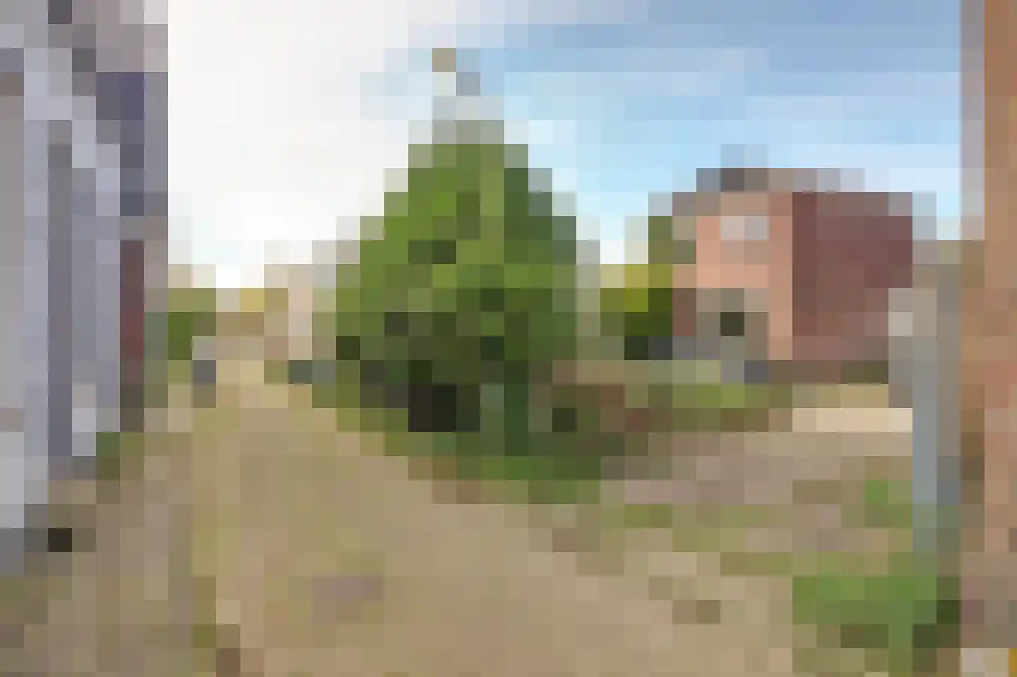 Ameland 20 Zaandam thumbnail 9