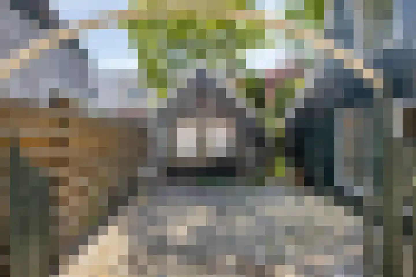 Ameland 3 C Zaandam thumbnail 26