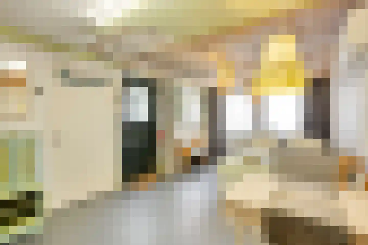 Ameland 3 C Zaandam thumbnail 29