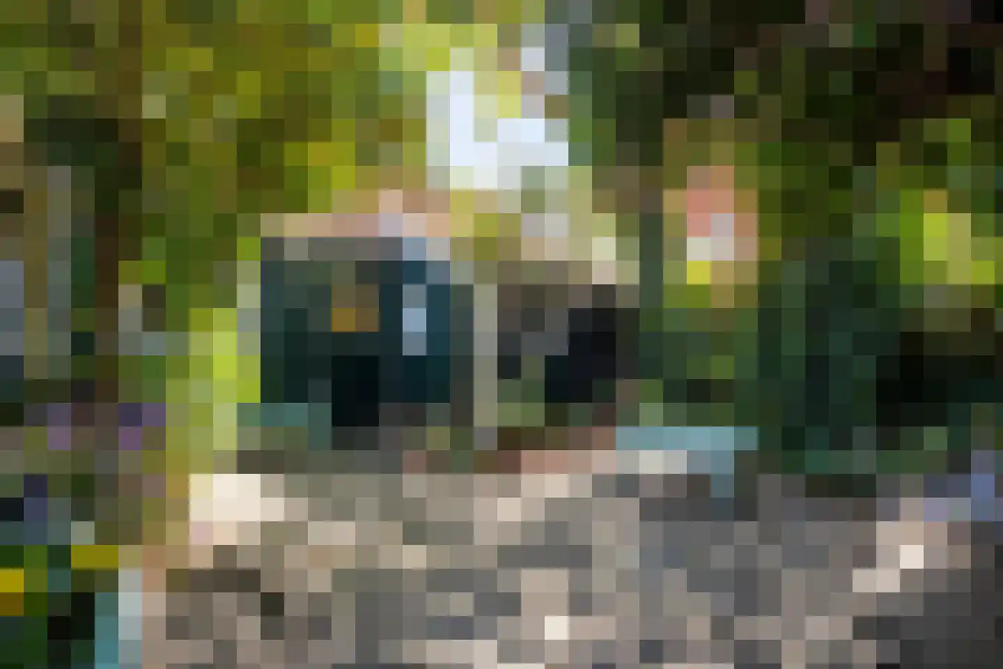 Ameland 3 C Zaandam thumbnail 35