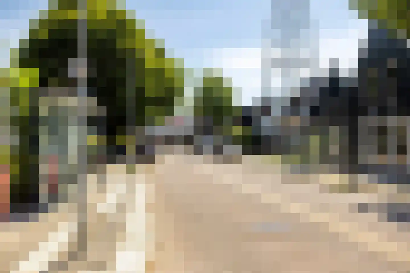 Ameland 3 C Zaandam thumbnail 38