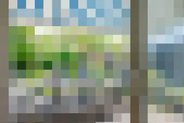 Ameland 3 Emmeloord thumbnail 40