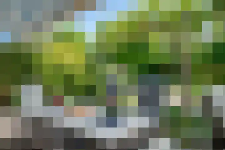 Ameland 3 Emmeloord thumbnail 41