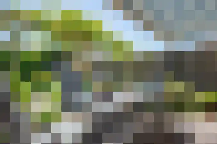 Ameland 3 Emmeloord thumbnail 42