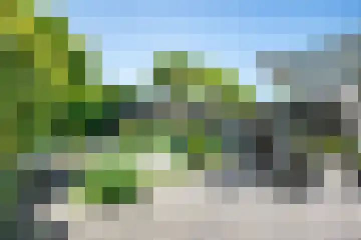 Ameland 3 Emmeloord thumbnail 43
