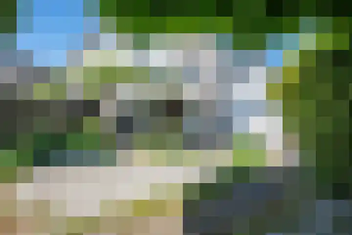 Ameland 3 Emmeloord thumbnail 44