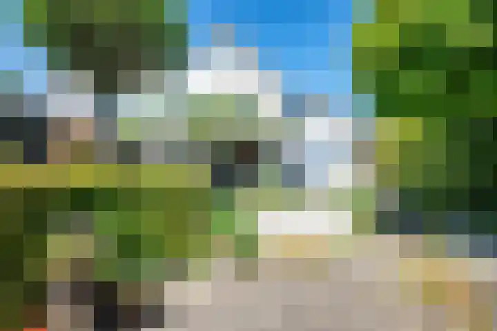 Ameland 3 Emmeloord thumbnail 45