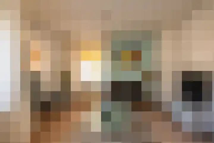 Ameland 3 Emmeloord thumbnail 9