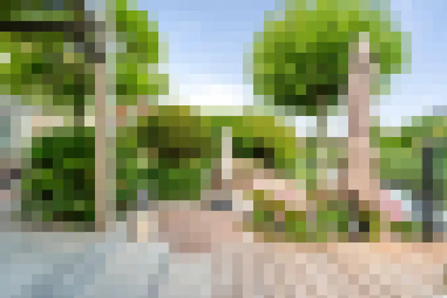 Ameland 31 Heemskerk thumbnail 25