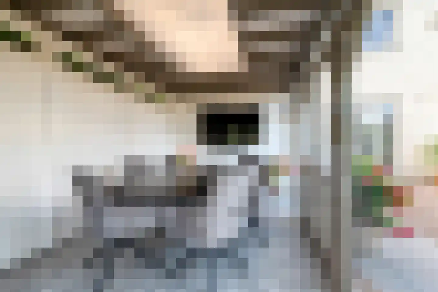 Ameland 31 Heemskerk thumbnail 34
