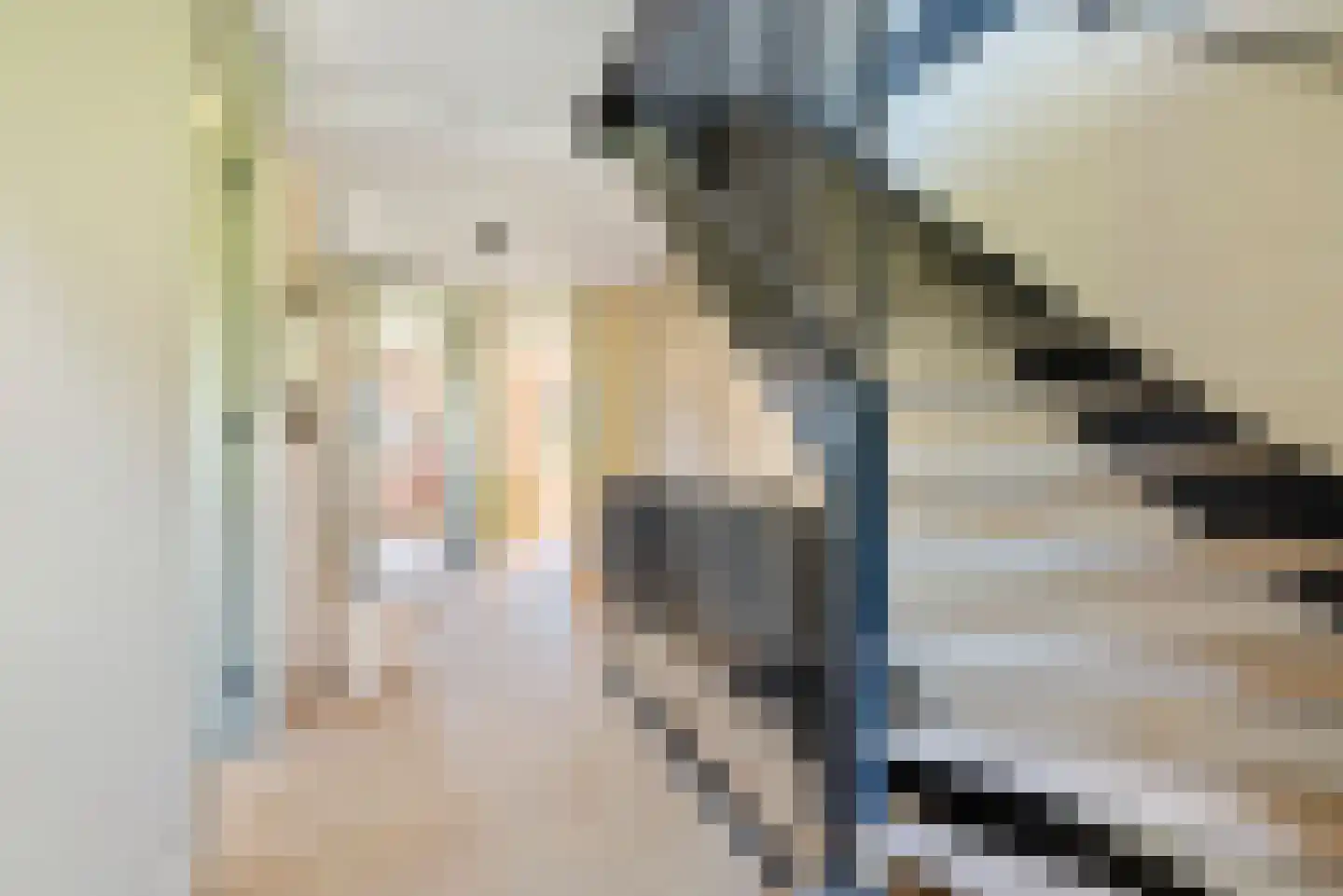 Ameland 31 Heemskerk thumbnail 51
