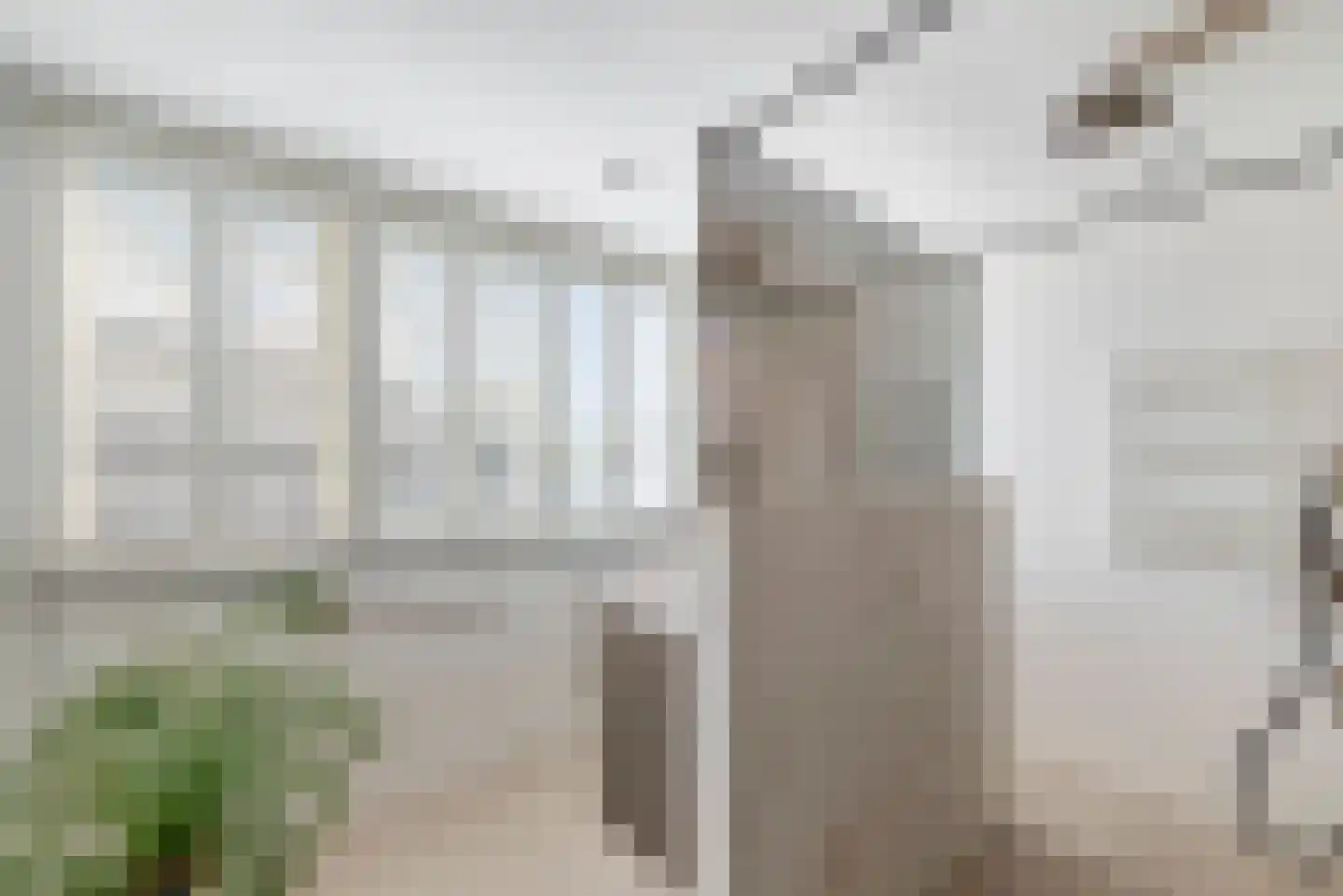 Ameland 31 Heemskerk thumbnail 61
