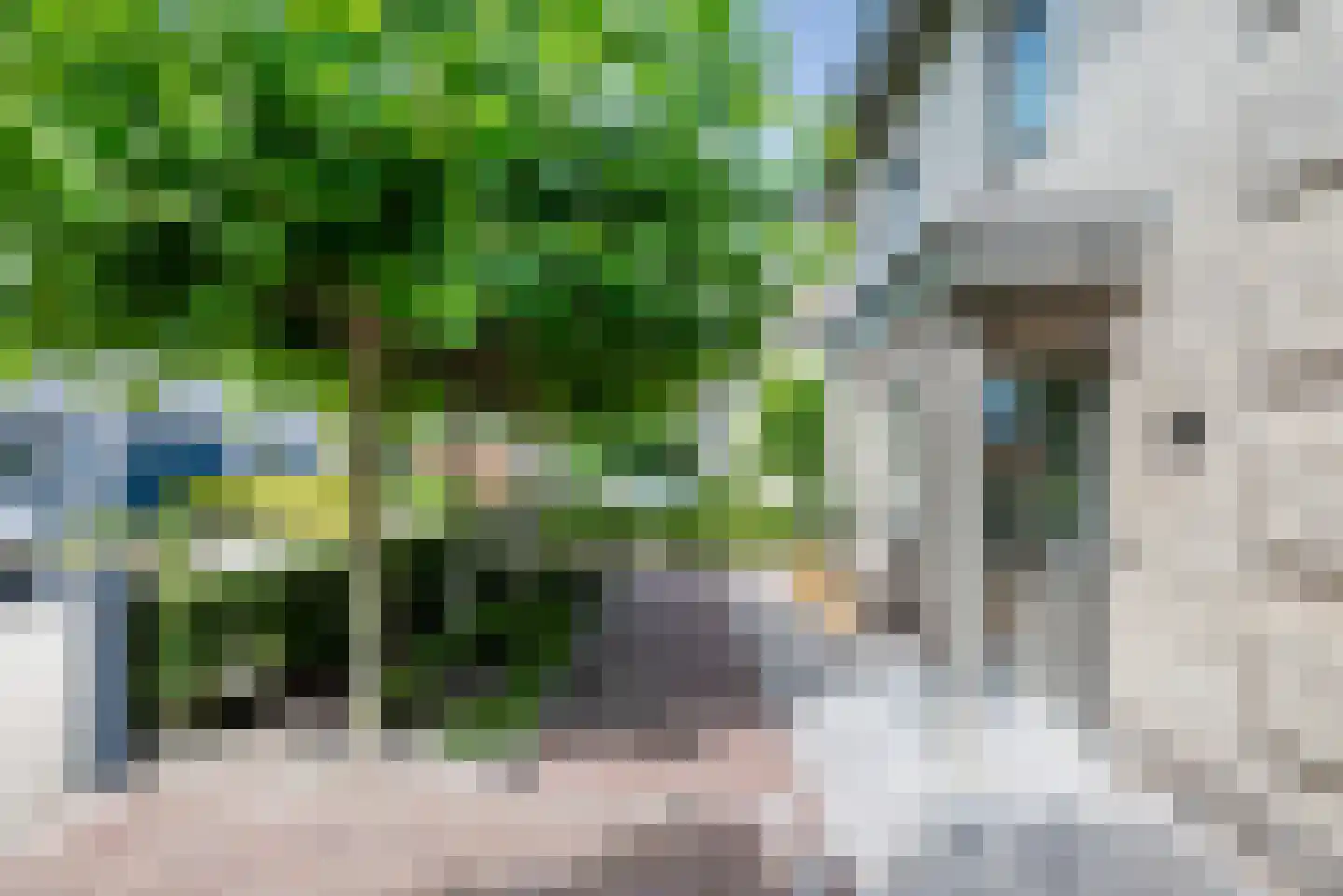 Ameland 31 Heemskerk thumbnail 64