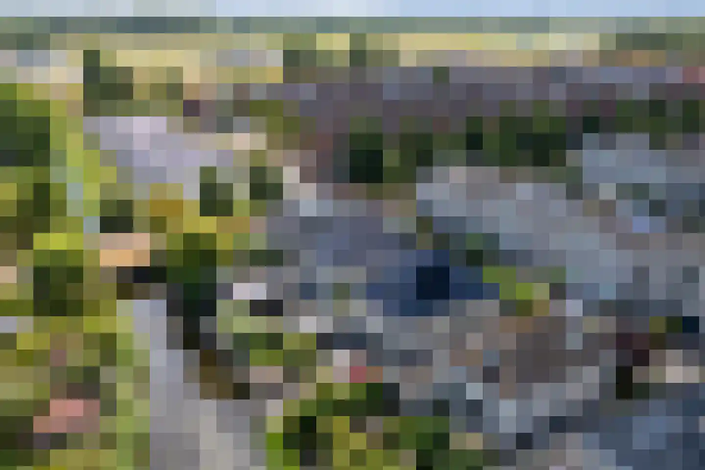 Ameland 31 Heemskerk thumbnail 68