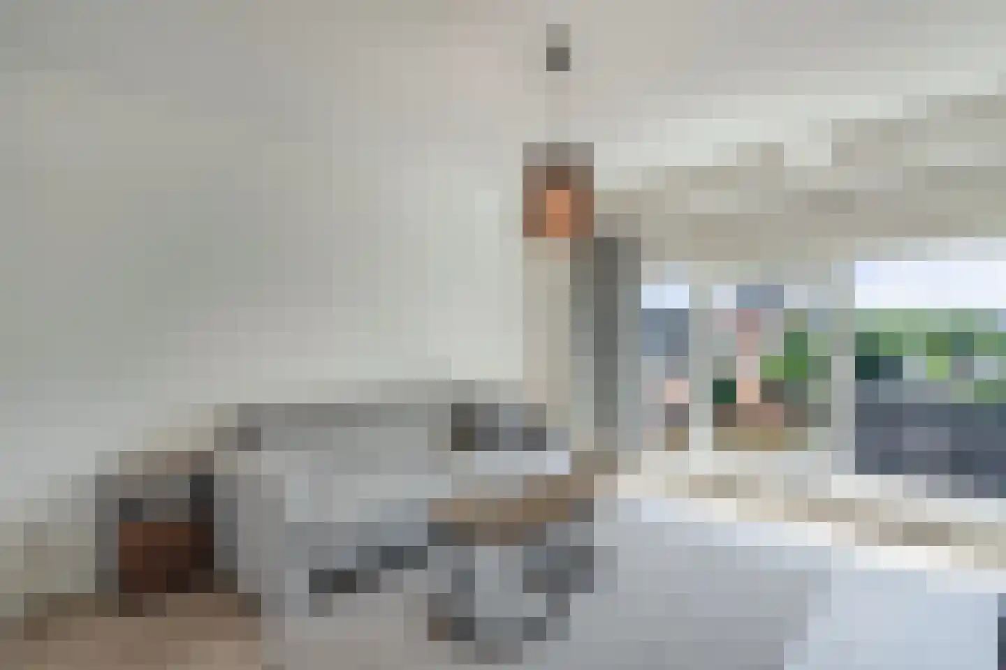 Ameland 4 H Zaandam thumbnail 15