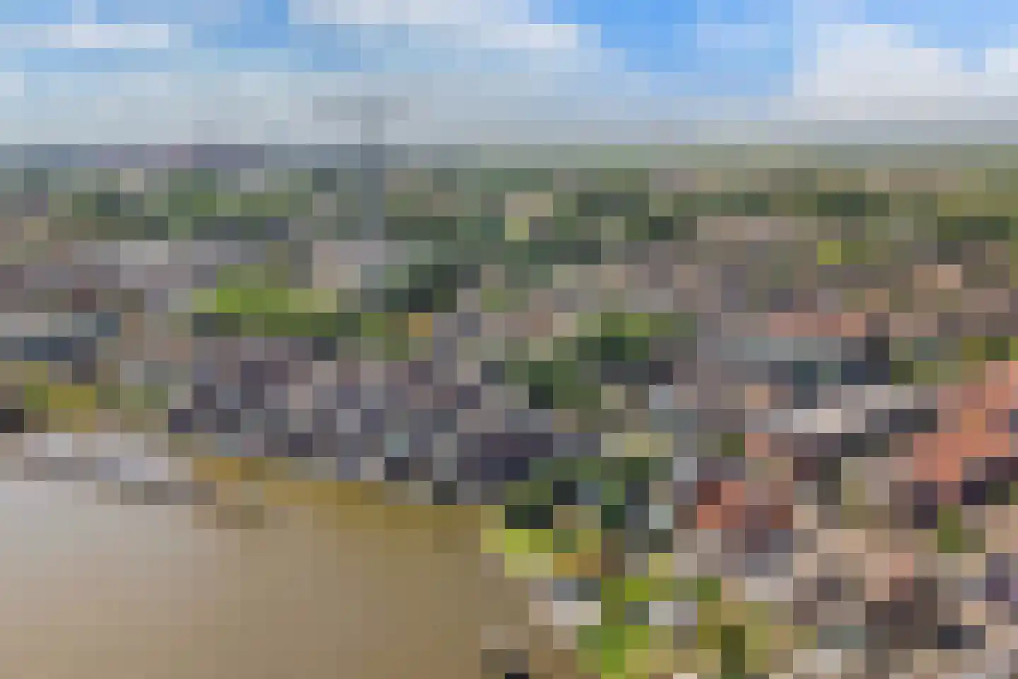 Ameland 4 H Zaandam thumbnail 36