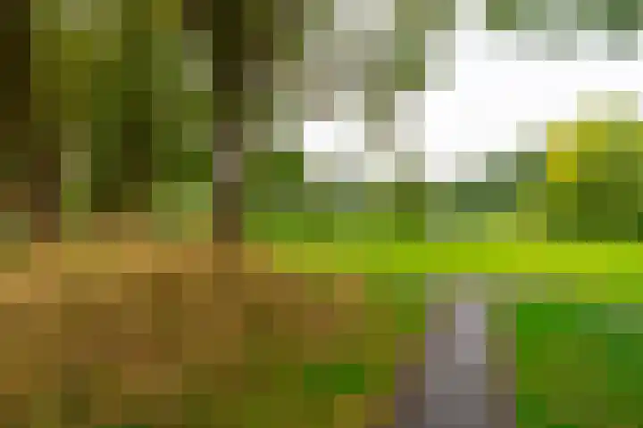 Ameland 4 Utrecht thumbnail 22