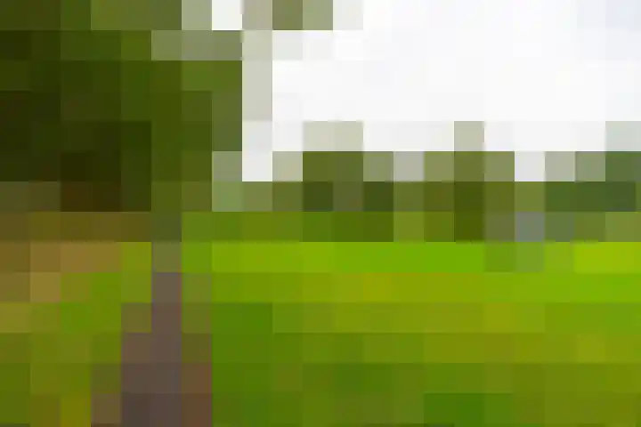 Ameland 4 Utrecht thumbnail 23