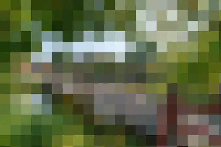 Ameland 4 Utrecht thumbnail 28