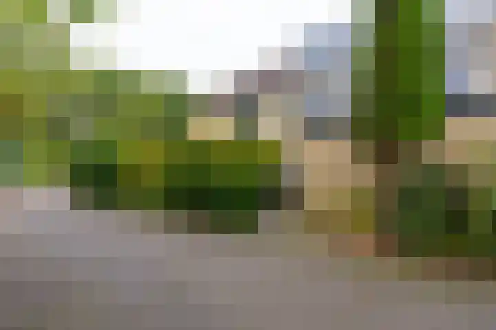 Ameland 4 Utrecht thumbnail 5