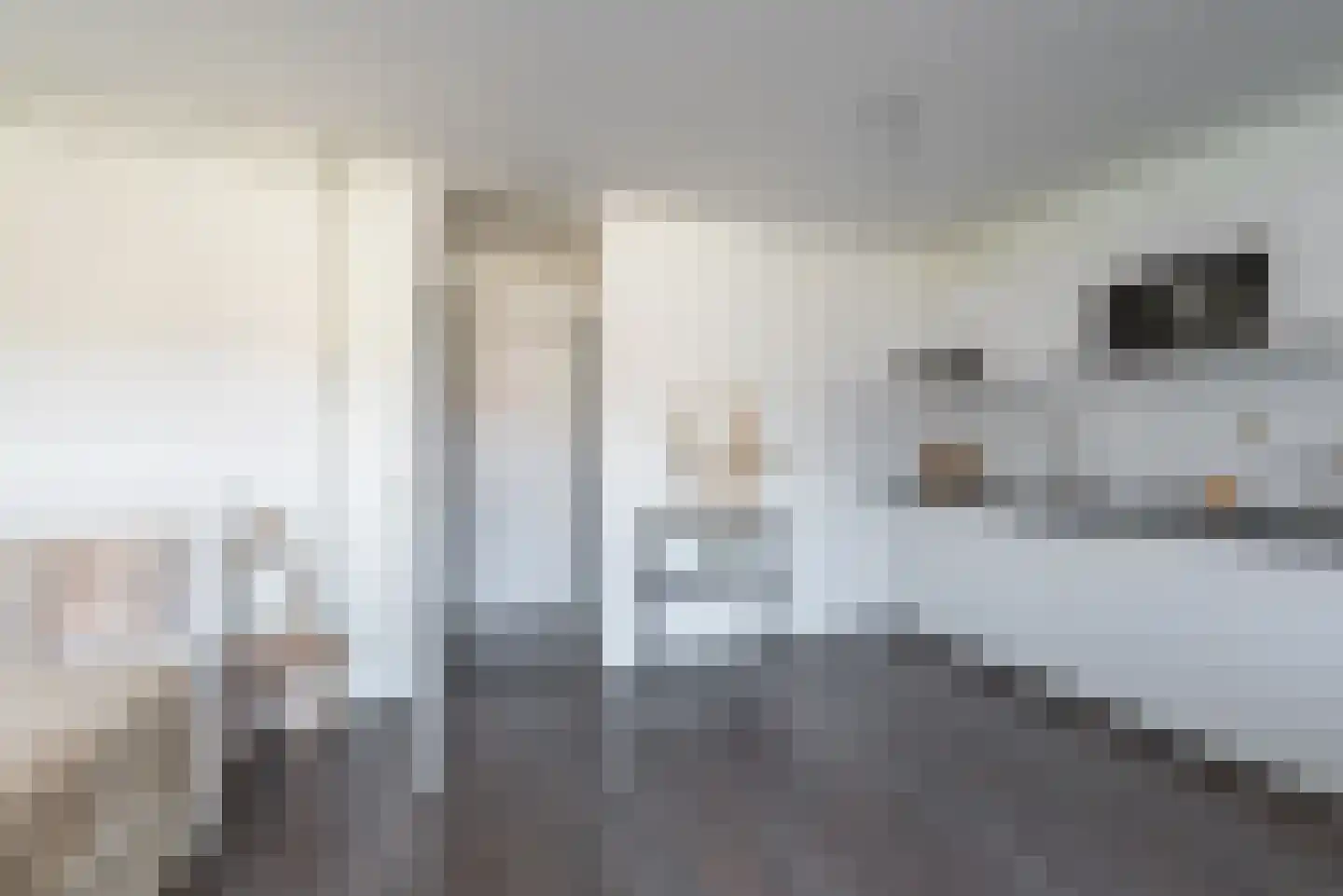 Ameland 40 Utrecht thumbnail 15