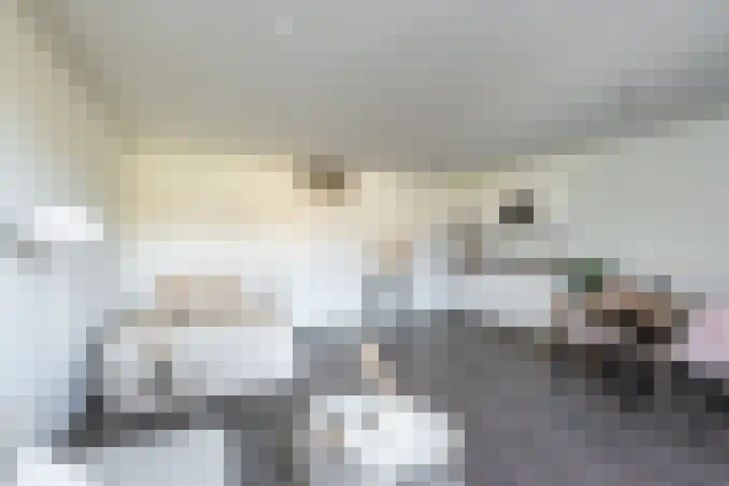 Ameland 40 Utrecht thumbnail 7