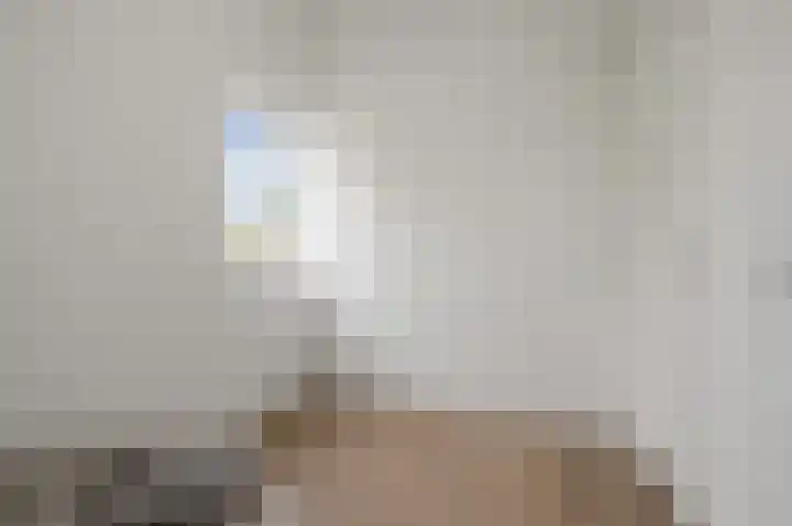 Ameland 43 B Zaandam thumbnail 21
