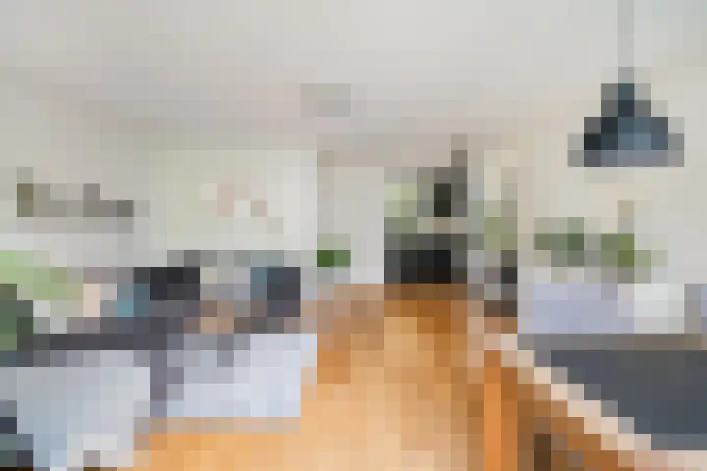 Ameland 5 Bergschenhoek thumbnail 10