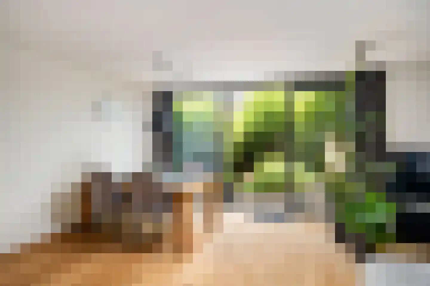 Ameland 5 Bergschenhoek thumbnail 14
