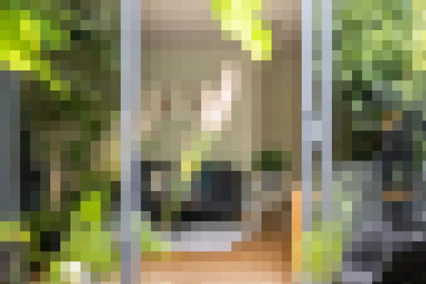 Ameland 5 Bergschenhoek thumbnail 15
