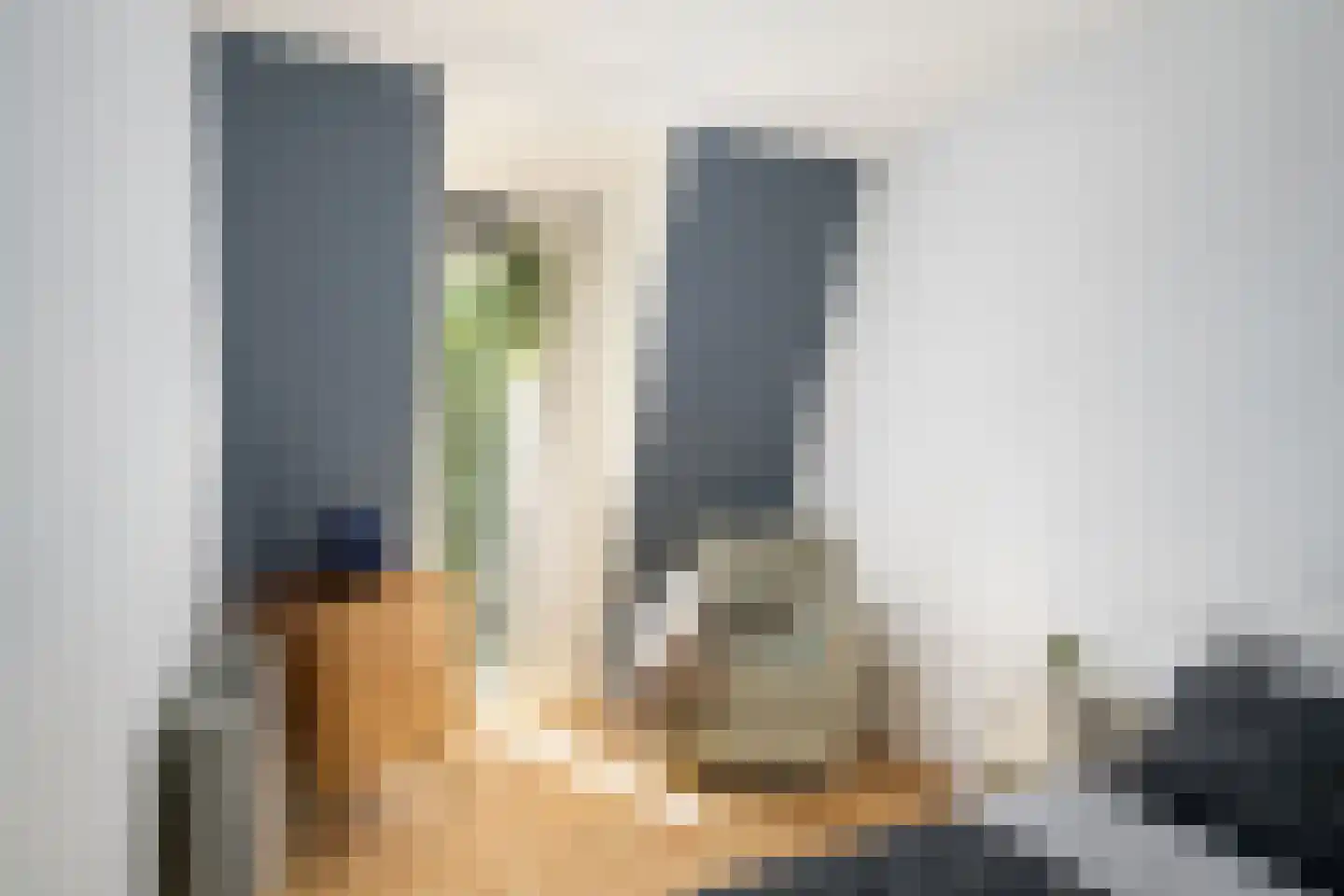 Ameland 5 Bergschenhoek thumbnail 18