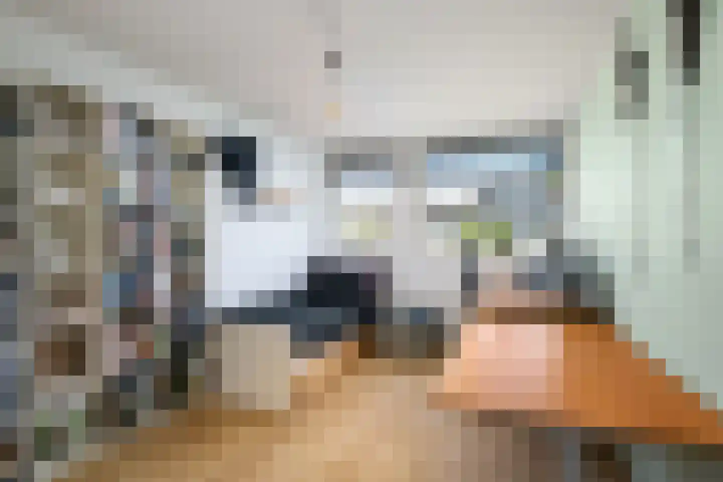 Ameland 5 Bergschenhoek thumbnail 20