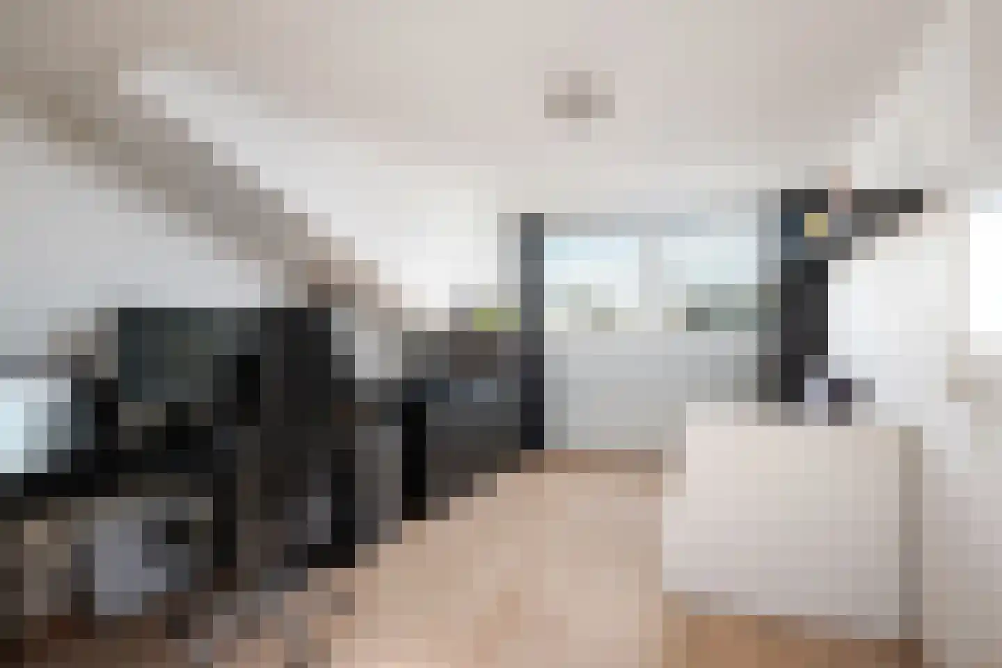 Ameland 5 Bergschenhoek thumbnail 28