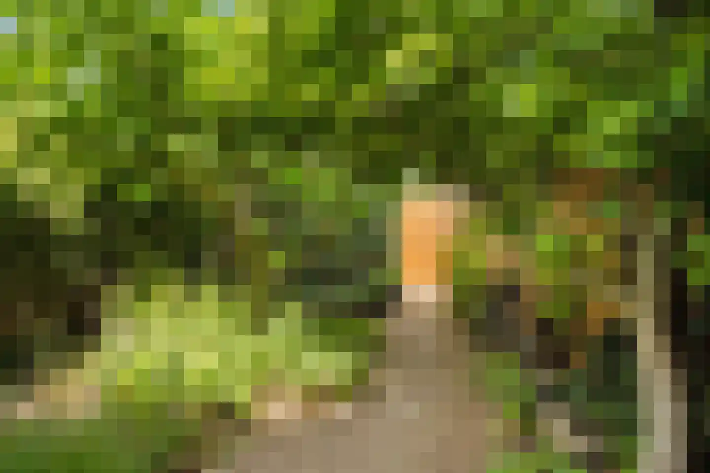 Ameland 5 Bergschenhoek thumbnail 31