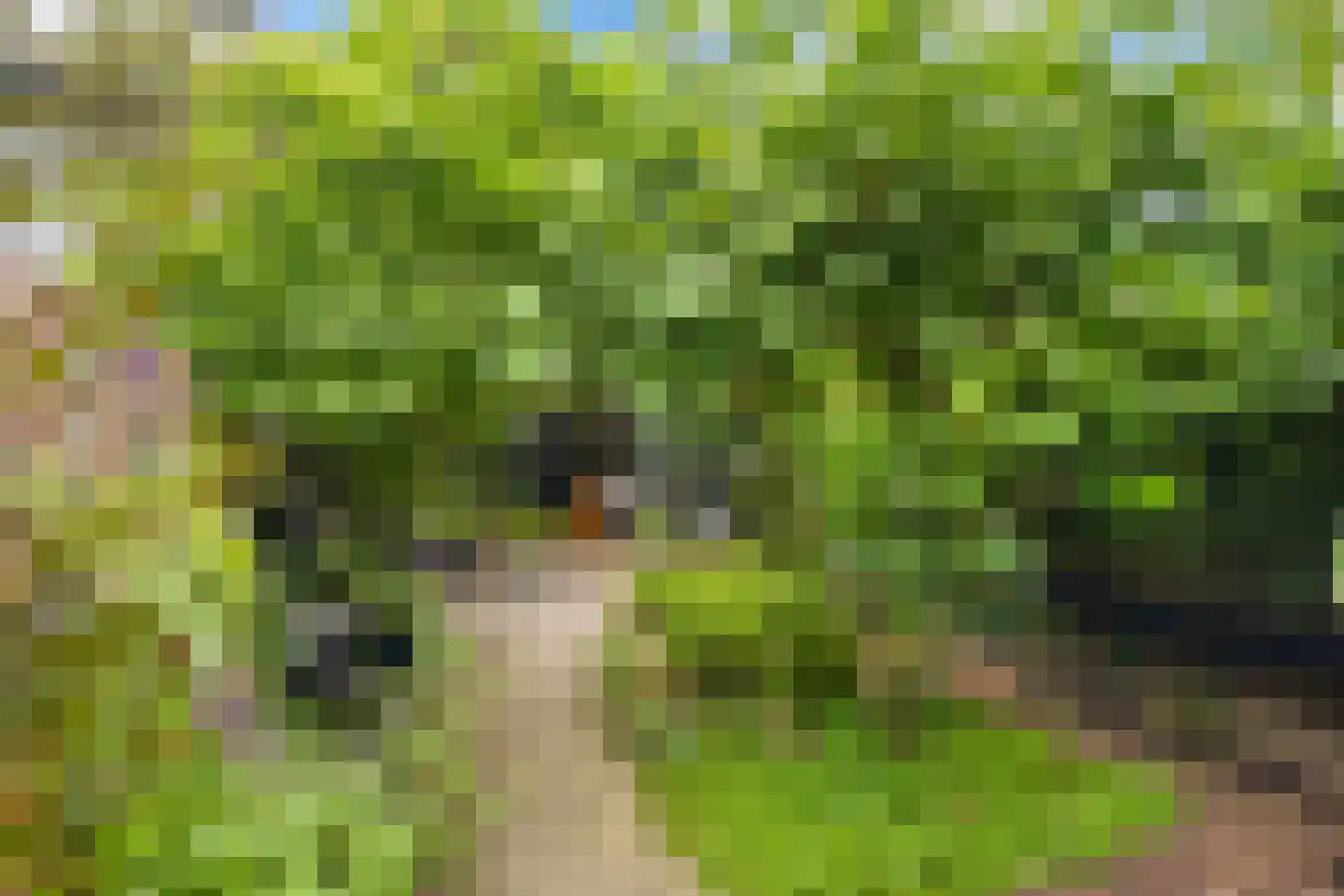 Ameland 5 Bergschenhoek thumbnail 33