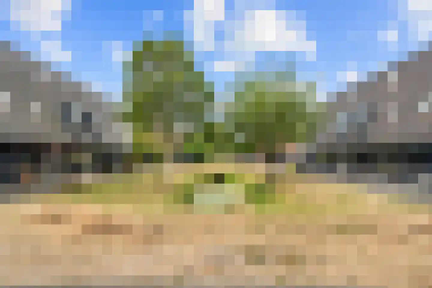 Ameland 5 Bergschenhoek thumbnail 36