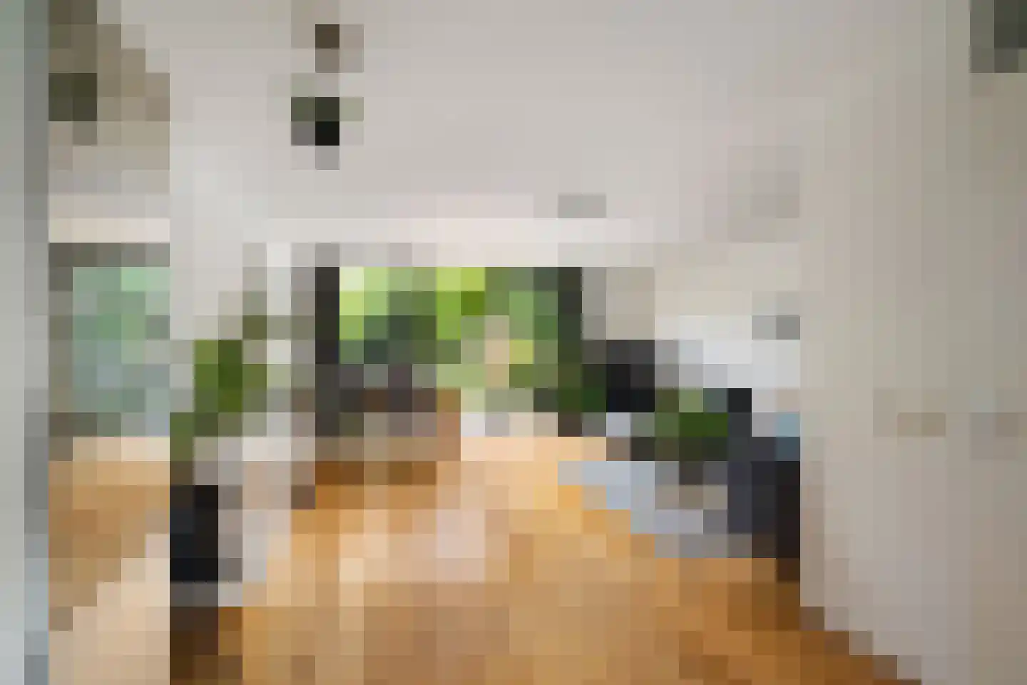 Ameland 5 Bergschenhoek thumbnail 6