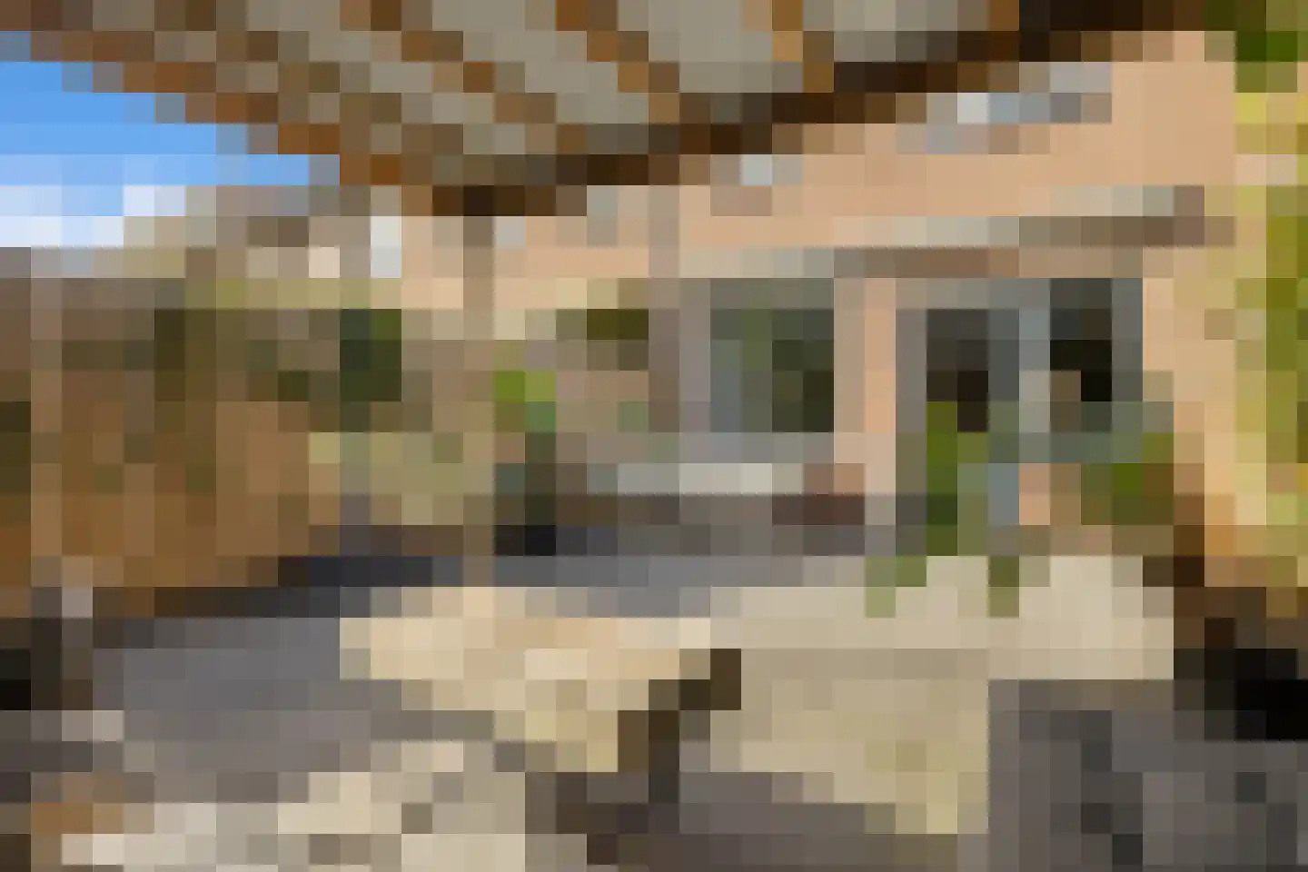 Ameland 55 Zaandam thumbnail 41