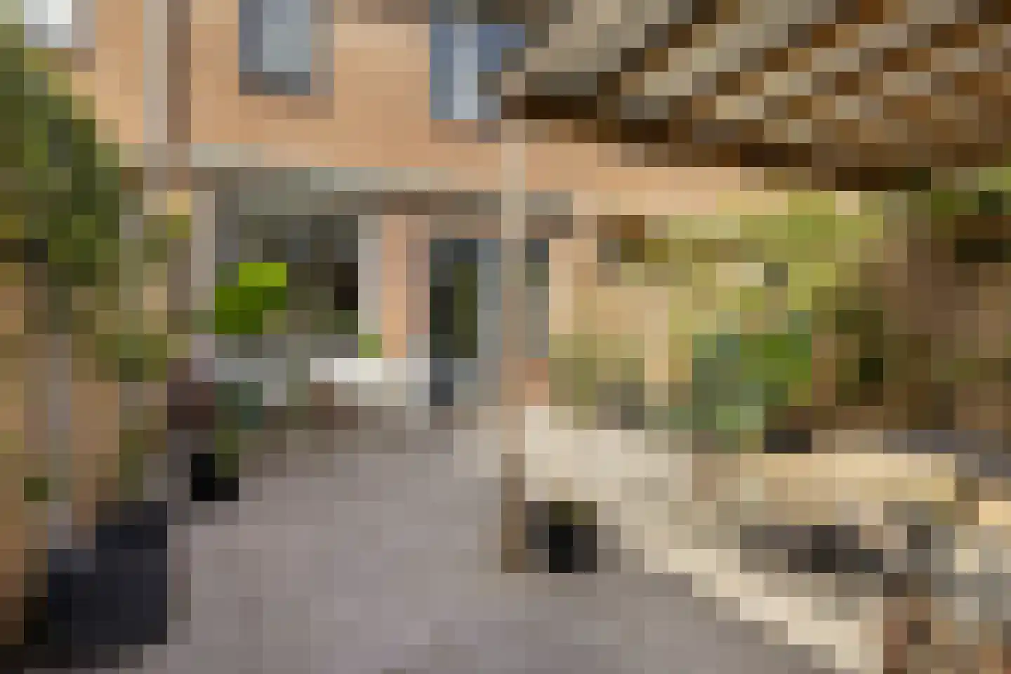 Ameland 55 Zaandam thumbnail 42
